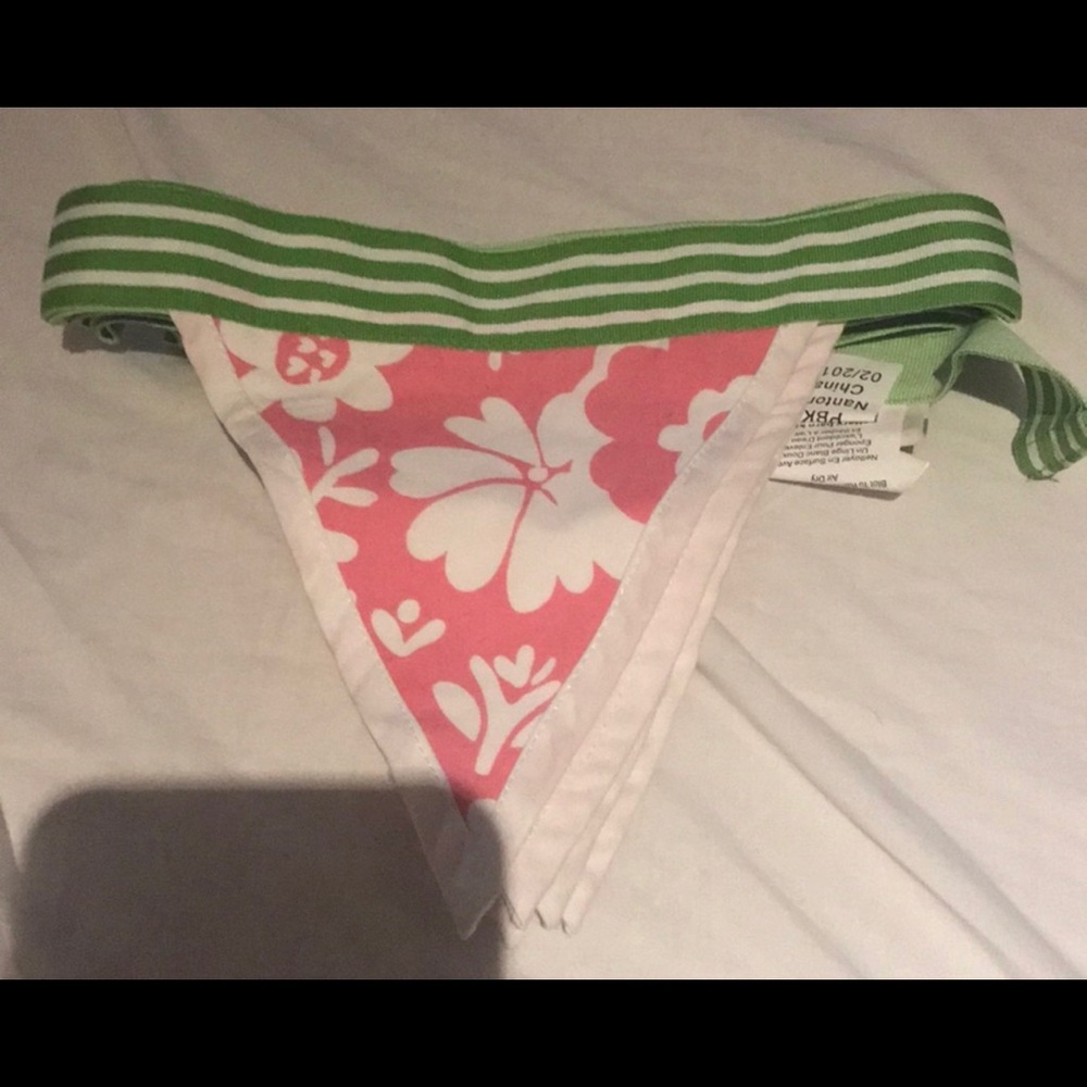 Pottery barn kids pennant